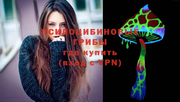 шишки Бронницы